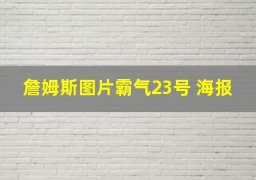 詹姆斯图片霸气23号 海报